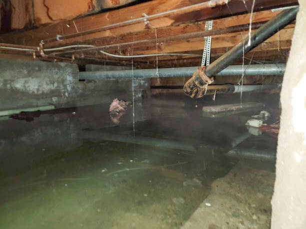 Best Water damage restoration near me  in Semmes, AL