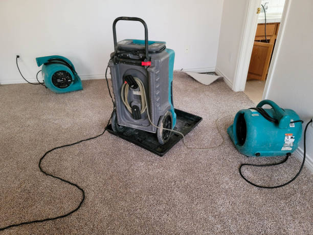 Best Water damage contractors near me  in Semmes, AL