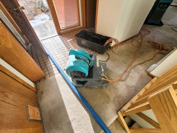 Best Water damage restoration specialists  in Semmes, AL