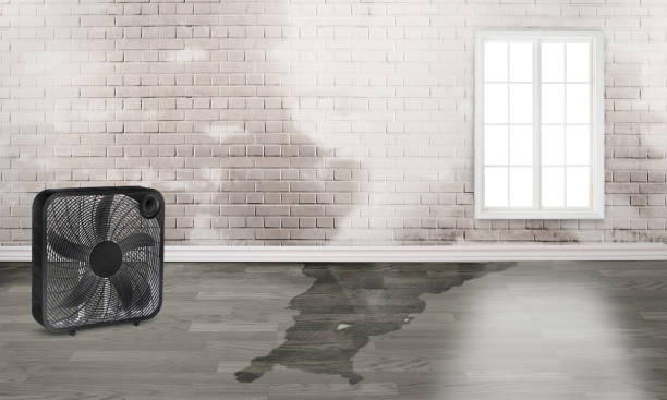 Trusted Semmes, AL Water damage restoration Experts