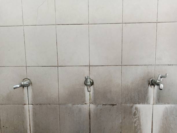 Best Water damage restoration experts  in Semmes, AL