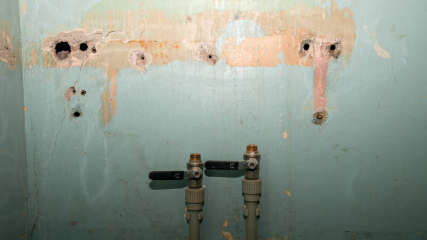 Best Water damage contractors near me  in Semmes, AL