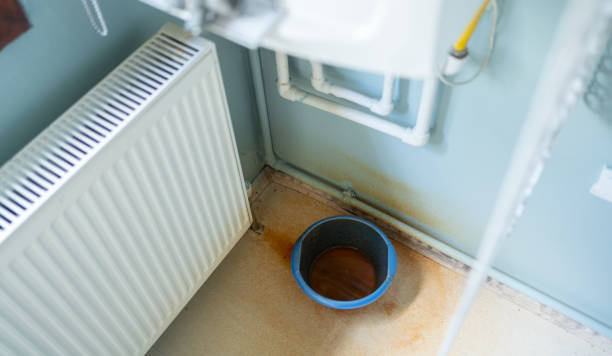 Best Mold removal after water damage  in Semmes, AL