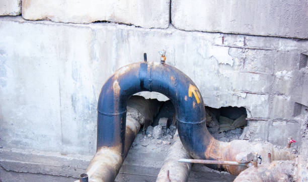 Best Carpet water damage restoration  in Semmes, AL