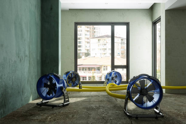 Best Mold removal after water damage  in Semmes, AL